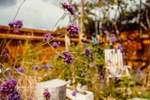 waterfront garden centre quiet space on avenue de caen - open Saturday and Sunday at the festival